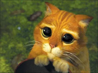 Mon nom est inspir d'un conte de Perrault, je suis un ami de Shrek.