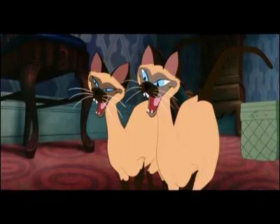 Deux chats siamois  Tante Sarah qui font tout pour embter la belle Lady.
