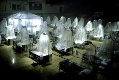 De quel film provient cette image ?