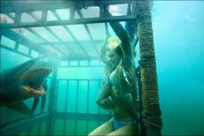 De quel film provient cette image ?