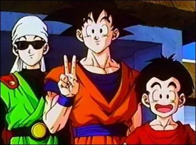 Lequel de ces personnages a t tu par Freezer ?