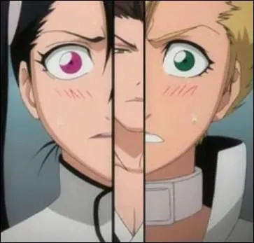 De qui sont-elles les Fraccin ?