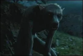 Qui se transforme en loup-garou ?