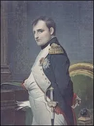 Qui a peint ce ' Napolon ' ?