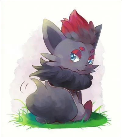 De quel type est Zorua ?