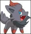 De quelle espce de Pokmon est Zorua ?