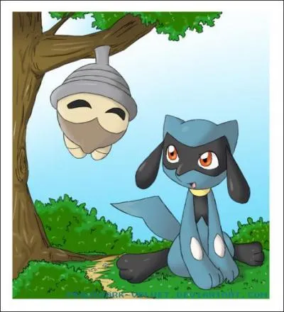 Quelle est la capacit spciale de Riolu ?