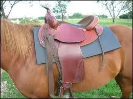 Est-ce une selle western ou classique ?