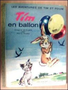 Qui sont Tim et Poum ?