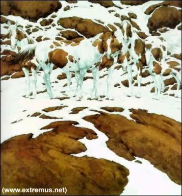 Combien de chevaux y a-t-il ?