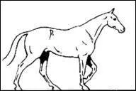 Combien y a-t-il de temps sur le pas ?