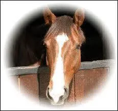 Quelle est cette liste ?