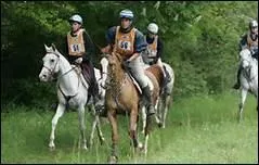 Dans quelle discipline le cheval doit-il effectuer jusqu' 120 km, la plupart du temps au trot ou au galop ?