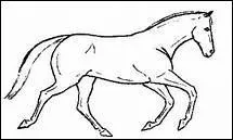 Qu'est-ce que l'aubin ?