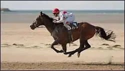 A quelle vitesse se dplace en moyenne un cheval de courses ?
