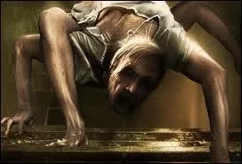 Et dans 'The Unborn' ?