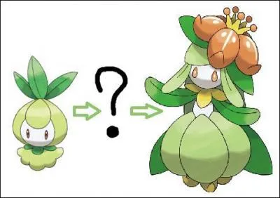 Comment Chlorobule volue-t-il en Fragilady ?