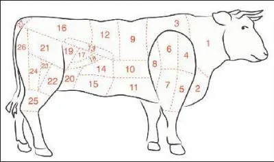 Quelle est la partie du boeuf n2 ?