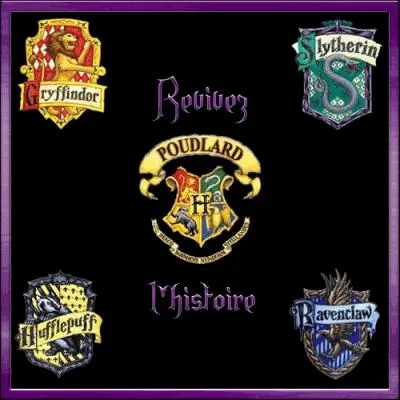 Sur quelle voie se trouve le train pour aller  l'cole de sorcellerie ?