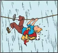 Qui a interprt  l'cran le rle de Tintin dans les films : Mystre de la toison d'or et Tintin et les oranges bleues ?