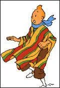 Quelle est la profession de Tintin ?