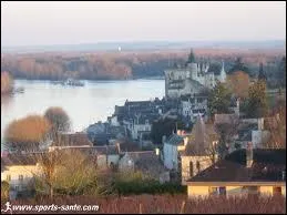 Situ dans le Saumurois, ce village possde un chteau du XV ime sicle ... .