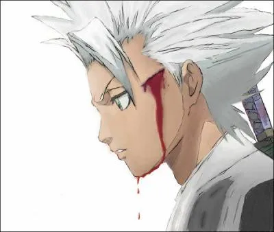 Comment s'appelle le zanpakut de Tshir Hitsugaya ?
