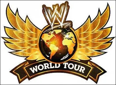 Qui tait son adversaire en match 1 contre 1 au WWE World Tour du 3 septembre 2011 Bercy ?