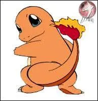 Quelle est l'volution de Salamche ?