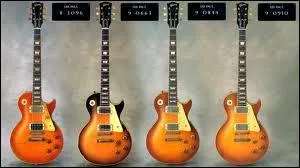 De quelle famille d'instruments les guitares font-elles parties ?