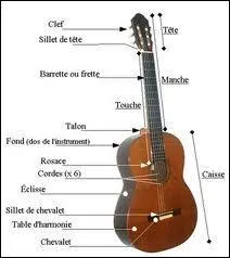 Au cours de quel sicle la guitare a-t-elle fait son apparition en Europe ?