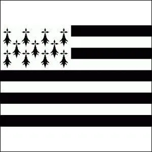 Quelle rgion franaise symbolise ce drapeau ?