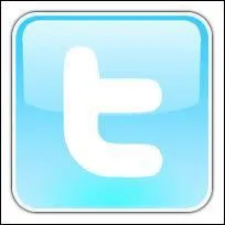 Quel est ce logo de site Internet ?