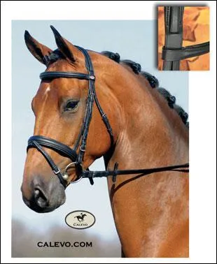 Que met-on sur la tte du cheval pour monter ?