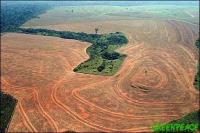 Sous la pression, une autre marque a fait machine arrire. Accuse de dforestation massive des forts indonsiennes, juste pour l'emballage de leurs produits (un clbre couple), de qui s'agit-il ?