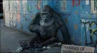 En 2008, un fabricant utilise une mthode pour s'accaparer la base de ses produits, qui contribue  l'extinction d'espces animales et au rchauffement climatique. Greenpeace passe un savon ...