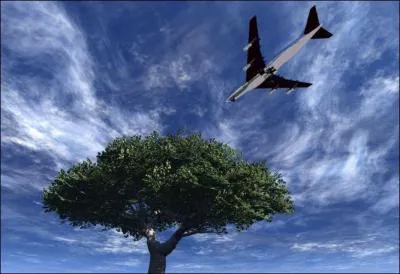 Un fabricant s'est vu flicit par l'ONG, aprs avoir ragi  l'ide de ne plus utiliser de rsidus de forts tropicales dans des emballages dont la dure de vie est des plus courtes. Qui ?