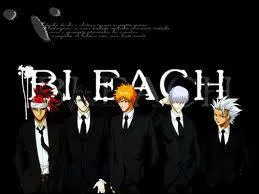 Quel est le personnage principal de 'Bleach' ?