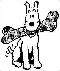 Comment s'appelle le chien de Tintin ?