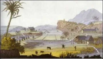 Que cultivait-on  Saint-Domingue au 18me sicle ?