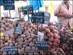 Dans quel pays peut-on trouver 3000 varits diffrentes ?