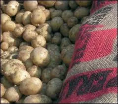 La bonnotte est une varit de pommes de terre prcoce originaire de :