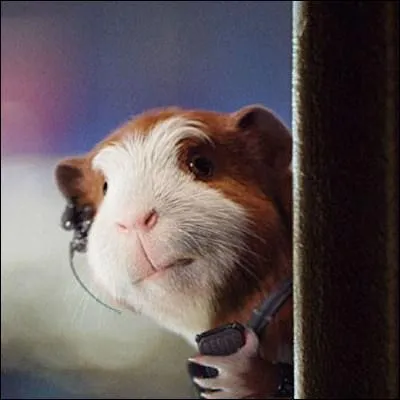 Dans ce film, il prte sa voix  Darwin le cochon d'Inde ! Il s'agit de :