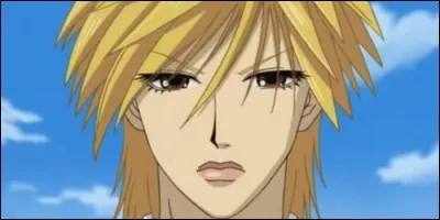 Qui est le protagoniste de l'anime "The Wallflowers" ?