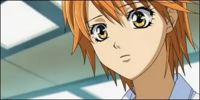 Dans quel anime peut-on voir Ky&ocirc;ko Mogami, personnage principal de l'histoire ?