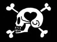  quel capitaine pirate appartient ce drapeau ?