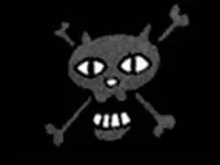  quel capitaine pirate appartient ce drapeau ?