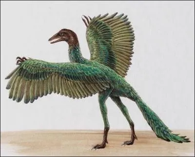 Et oui, l'archaeopteryx tait un petit dinosaure  plumes, et non pas un oiseau, ainsi que le montrent les dcouvertes faites ces dernires annes dans ce pays, lequel ?