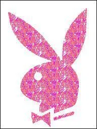 Peter Gowland a-t-il t photographe pour Playboy ?