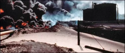 3 dcembre 1984, l'usine de pesticides de Bhopal explose et libre 40 tonnes de gaz mortels. Dans quel pays se trouvait cette usine de l'Union Carbide ?